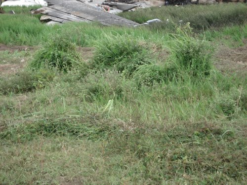 DSC02101